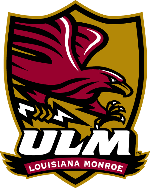 Louisiana-Monroe Warhawks 2006-Pres Alternate Logo v3 DIY iron on transfer (heat transfer)